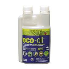 Eco oil